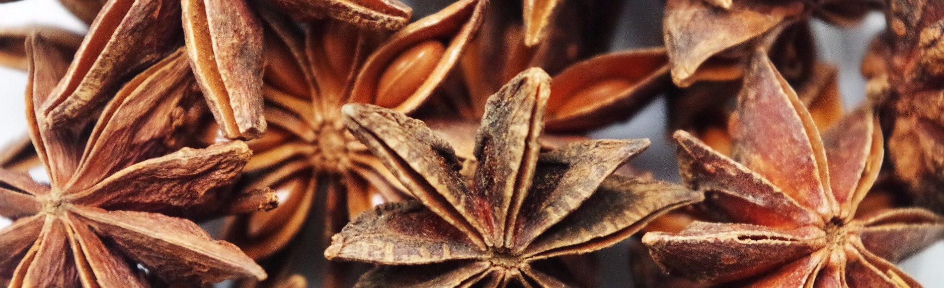 star-anise-1049573